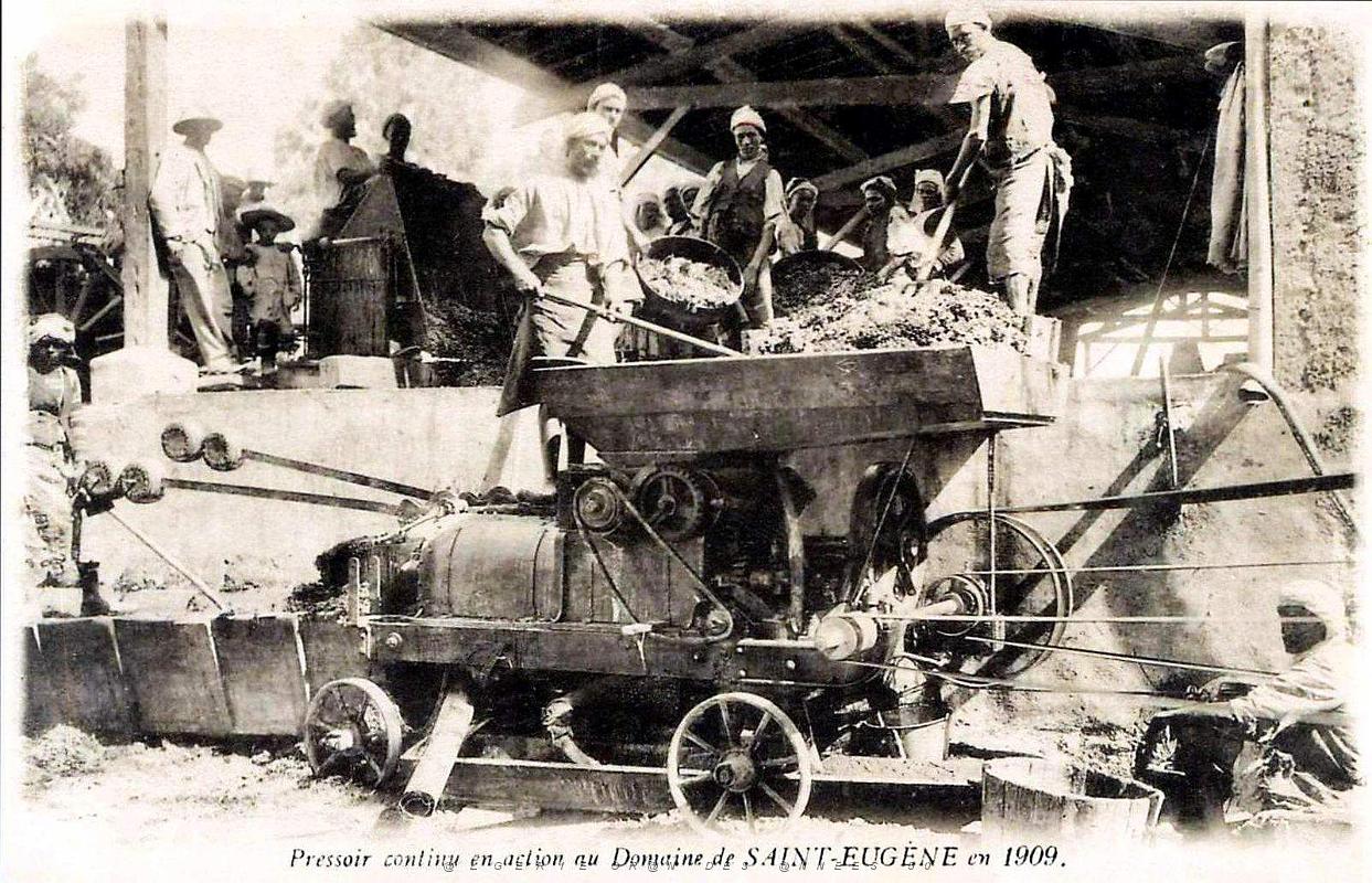 Oran - Saint Eugene - Seneclause - Pressoir - 1909.jpg